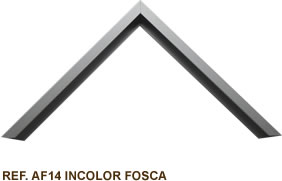 REF AF 14 - INCOLOR FOSCA